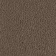 50300 - TAUPE 